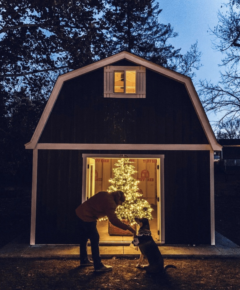 Tuff shed shop dog house